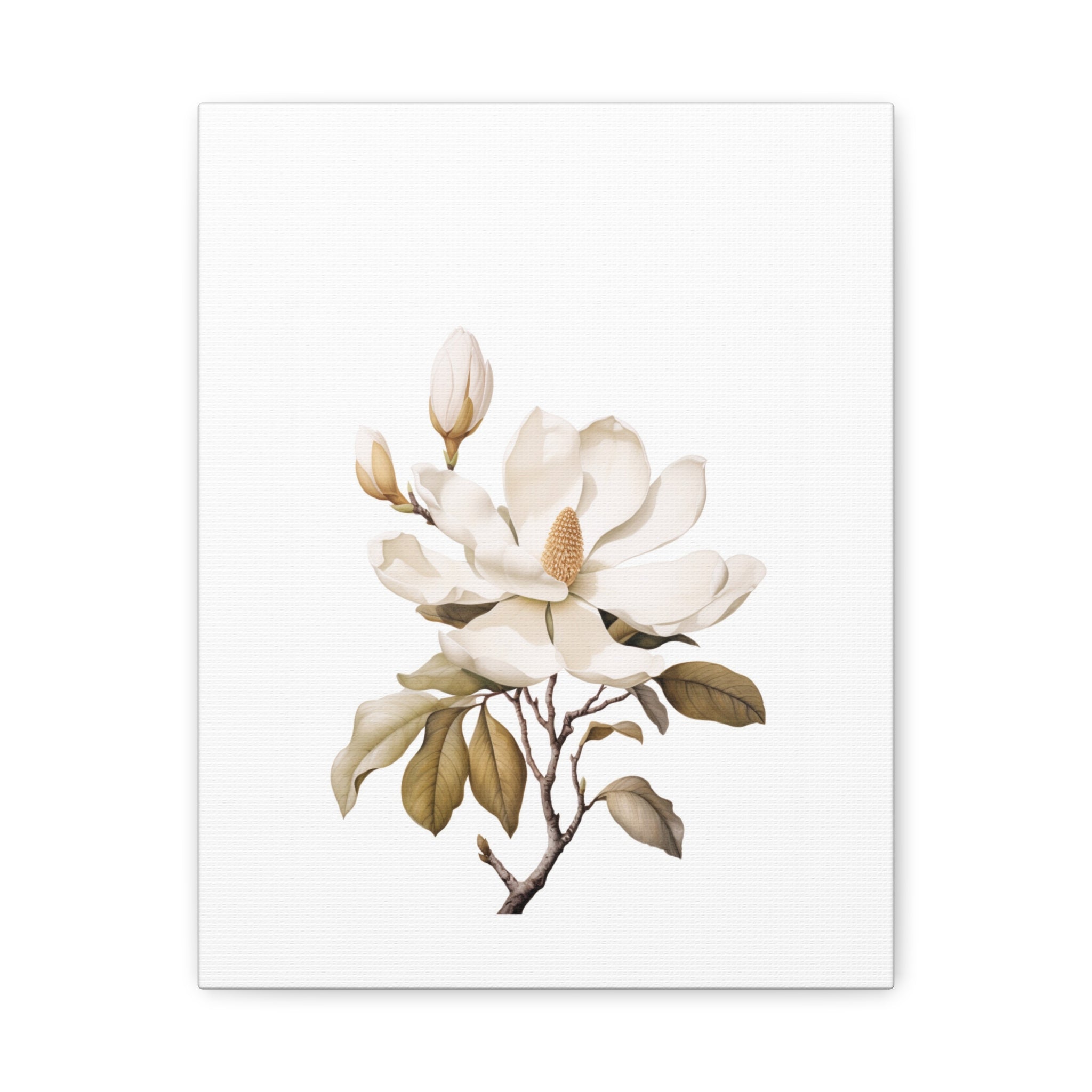 Magnolia Botanical Canvas Print