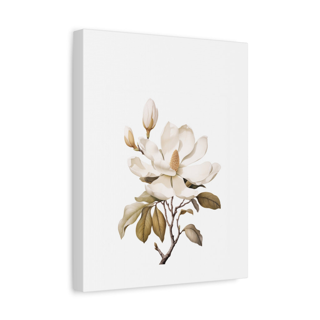 Magnolia Botanical Canvas Print
